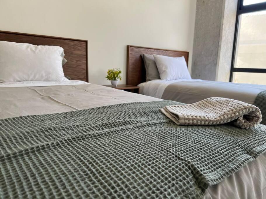 Depa Boho Al Sur Pet Friendly Piscina Gym Sala De Cine Lejlighed Guadalajara Eksteriør billede
